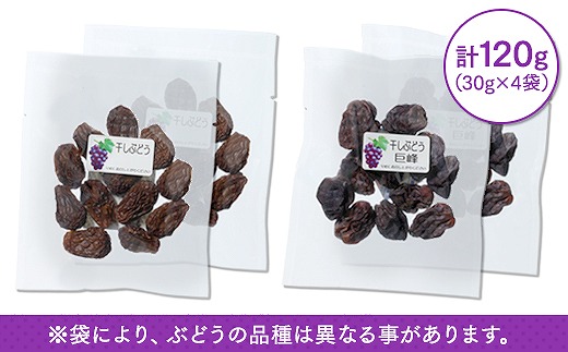 国産無添加・干しぶどう（大府産ぶどう使用）
