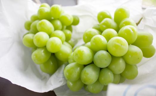 ★2026年7月下旬より順次発送★朝採りシャインマスカット（3～4房入り）