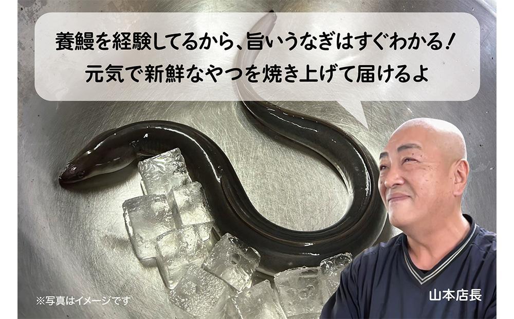 ＜着日指定必須＞【特大・国産うなぎ・蒲焼２尾】養鰻場を知るこだわり大将の絶品うなぎ