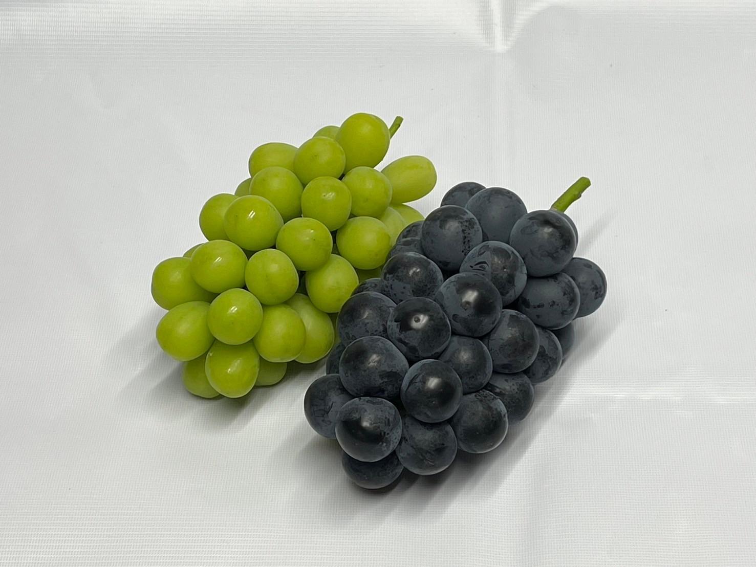 【2026年度_先行予約】【ご家庭用】ぶどう食べ比べセット 約2kg〔2026年8月中旬より順次発送〕