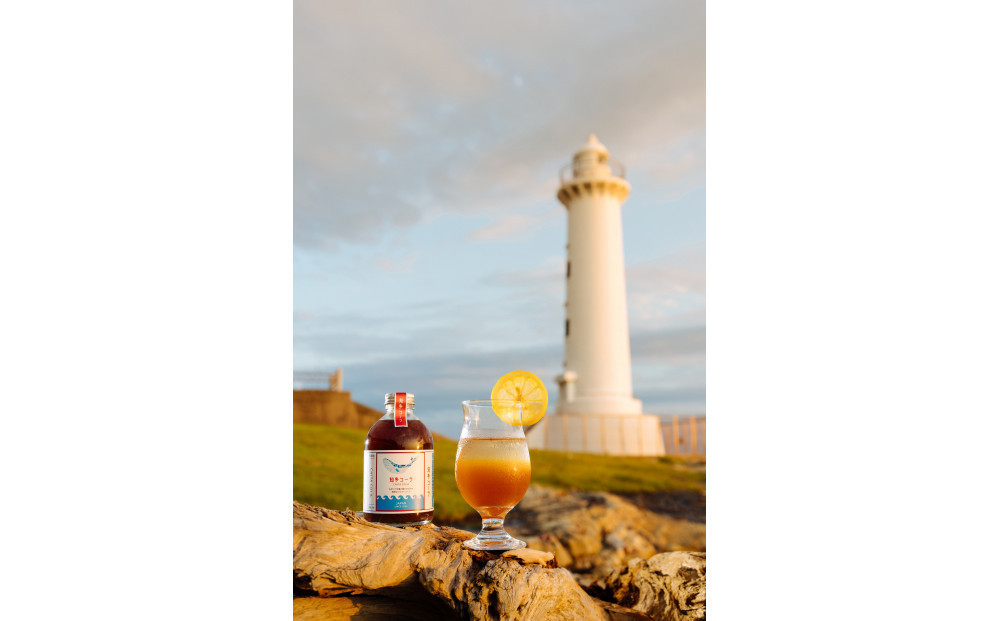 【テレビで紹介】愛知 知多 クラフトコーラ 240ml 3本 コーラ シロップ 飲料 ドリンク 炭酸割り ソーダ割り ミルク割り お酒 アイス アレンジ可能 相性抜群 愛知県産 レモン みかん 人気 おすすめ 大府市