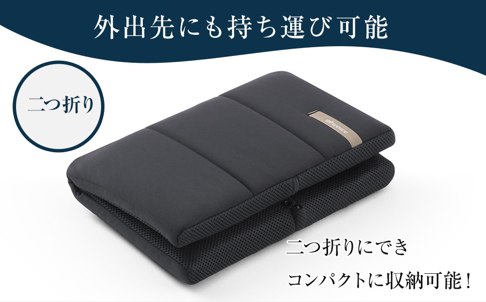 エアウィーヴ キャリークッションmini