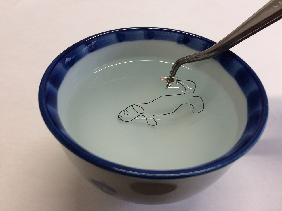 お湯につけると形が戻る!? 「形状記憶合金 干支2個セット」