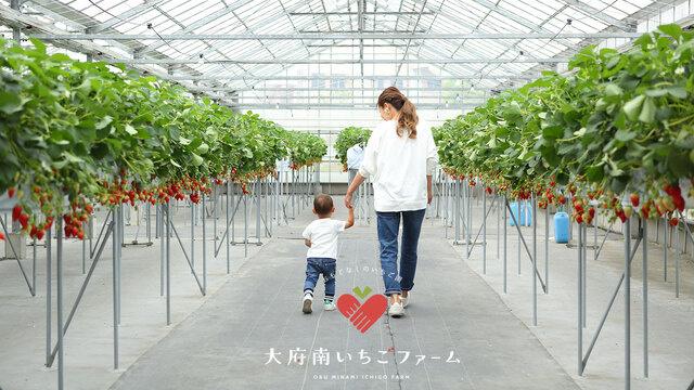 わたしのいちごバター２個セット