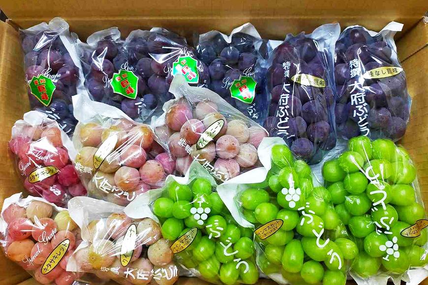 【2026年先行予約・数量限定】園主おまかせ特選ぶどう詰合せ 約２kg  (当園栽培16品種の中より厳選) ＜2026年8月中旬～発送＞