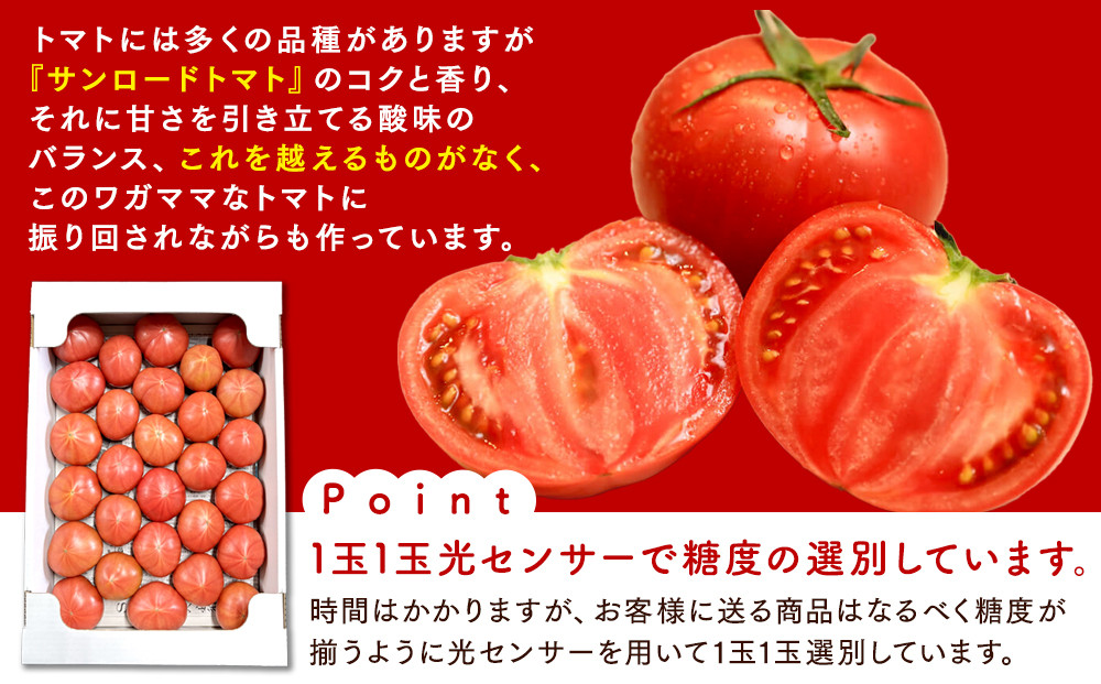 【先行予約 2026年2月～5月出荷予定／限定50箱】全国トマト選手権銅賞受賞トマト『銀丸山口トマト』高糖度トマト　L~Mサイズ