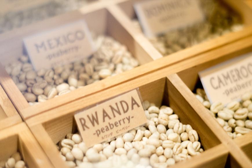 粉・中挽き（ドリップ　サイフォン）希少！ピーベリーコーヒー3種マスターおすすめ飲み比べ＜カフェモーリス厳選＞