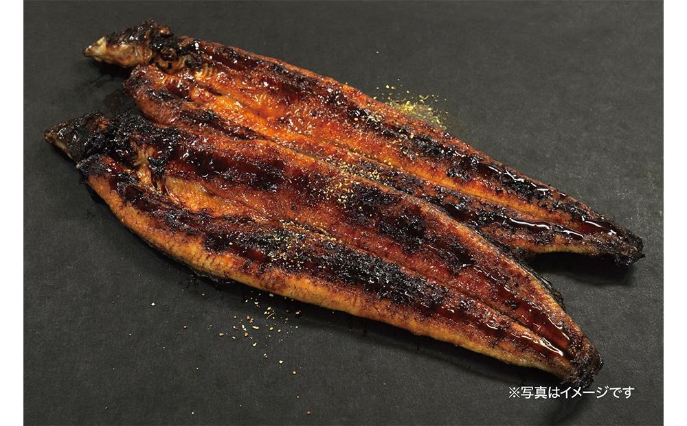 ＜着日指定必須＞【特大・国産うなぎ・蒲焼２尾】養鰻場を知るこだわり大将の絶品うなぎ