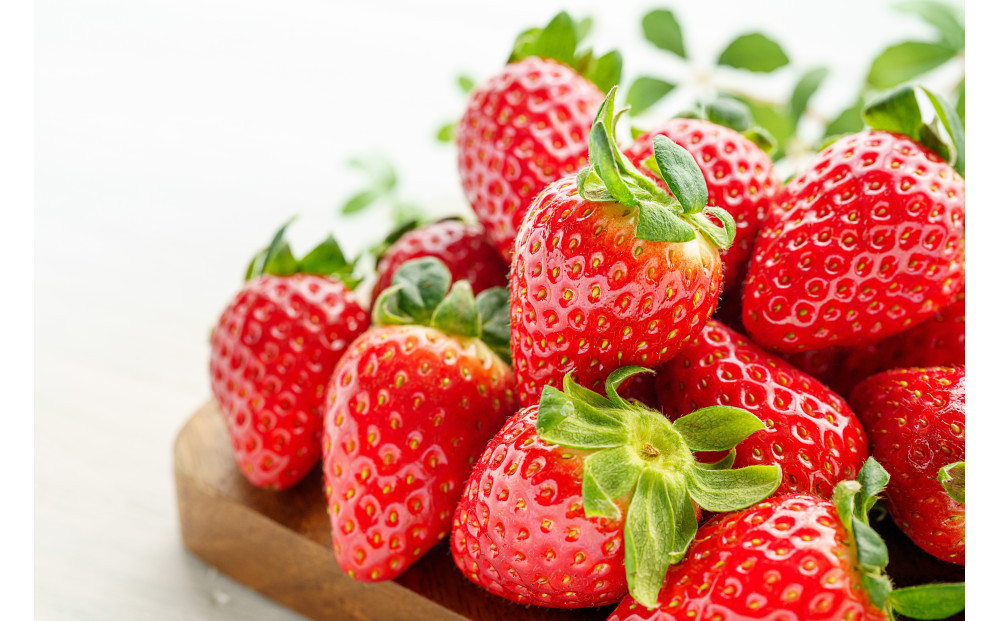 こだわり栽培　いちご　【食べ比べ】　すず（1pac) x　はるひ(1pac)【2025年12月～2026年4月末までお届け】