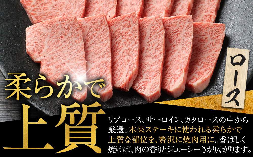『下村牛』焼肉2種食べ比べセット_C 500g
