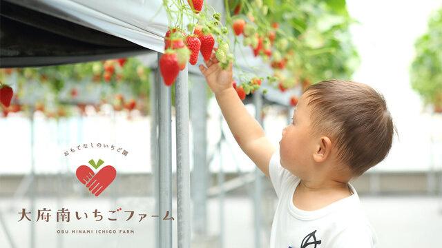 わたしのいちごバター２個セット