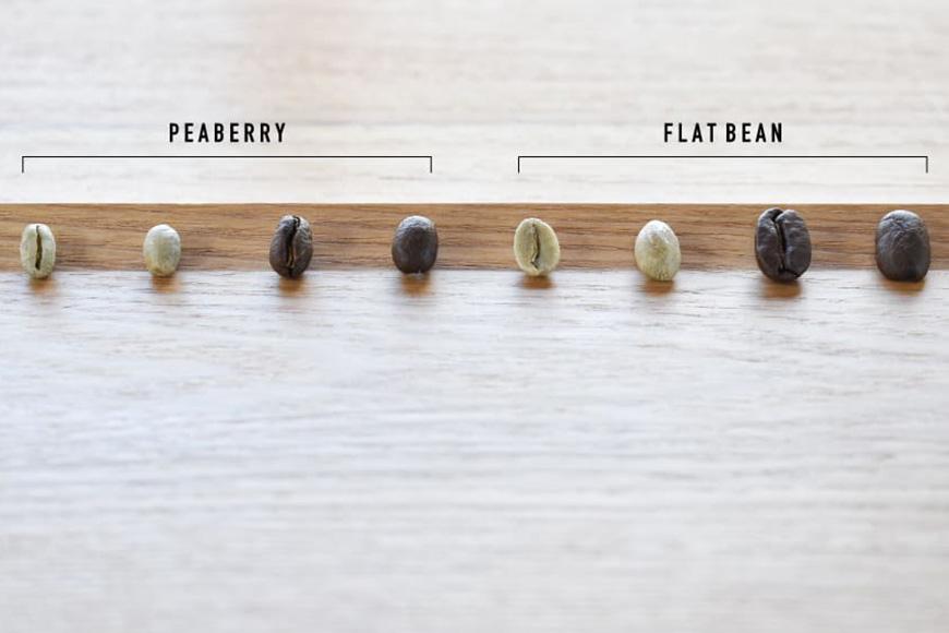 ＜ブラジル ピーベリー＞煎りたて、挽きたて！ドリップコーヒー10袋＋オリジナルカップ（グレー）