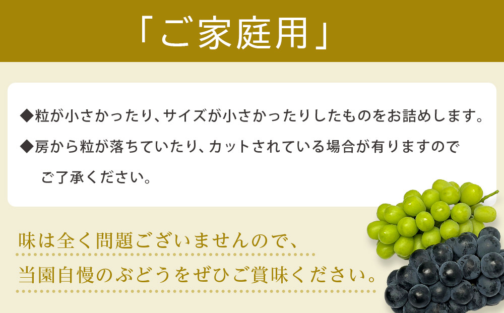 【2026年度_先行予約】【ご家庭用】巨峰（種あり）約2kg〔2026年8月上旬より順次発送〕
