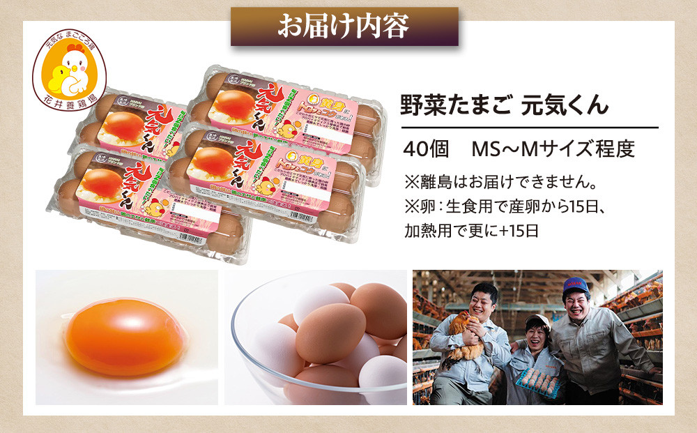 愛され続けて30年 「野菜たまご 元気くん」（40個） 日々のお料理がワンランクアップ!!