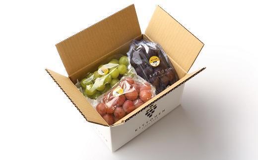 【2025年発送】シャインマスカット＋お任せぶどう 1.5kg（2～3房）
