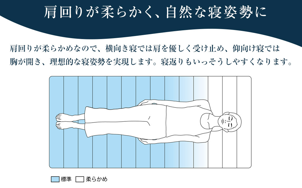 スマートZ01　特別仕様 シングル
