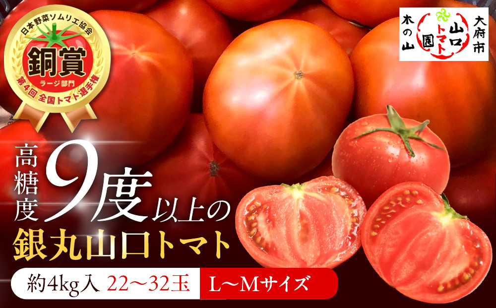 【先行予約 2026年2月～5月出荷予定／限定50箱】全国トマト選手権銅賞受賞トマト『銀丸山口トマト』高糖度トマト　L~Mサイズ