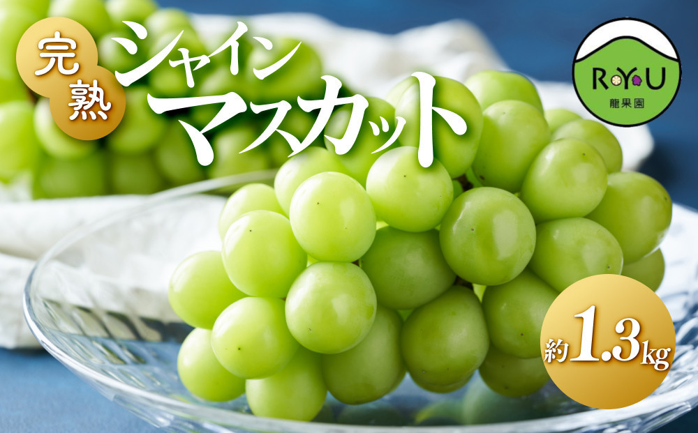 完熟シャインマスカット（通常品） 1.3kg