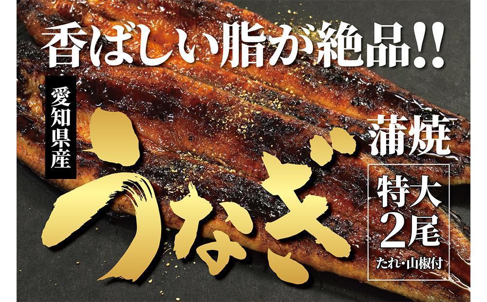 ＜着日指定必須＞【特大・国産うなぎ・蒲焼２尾】養鰻場を知るこだわり大将の絶品うなぎ