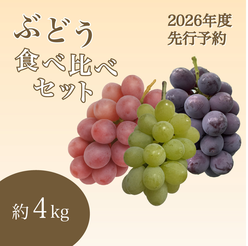 【2026年度_先行予約】【ご家庭用】ぶどう食べ比べセット 約4kg〔2026年8月中旬より順次発送〕