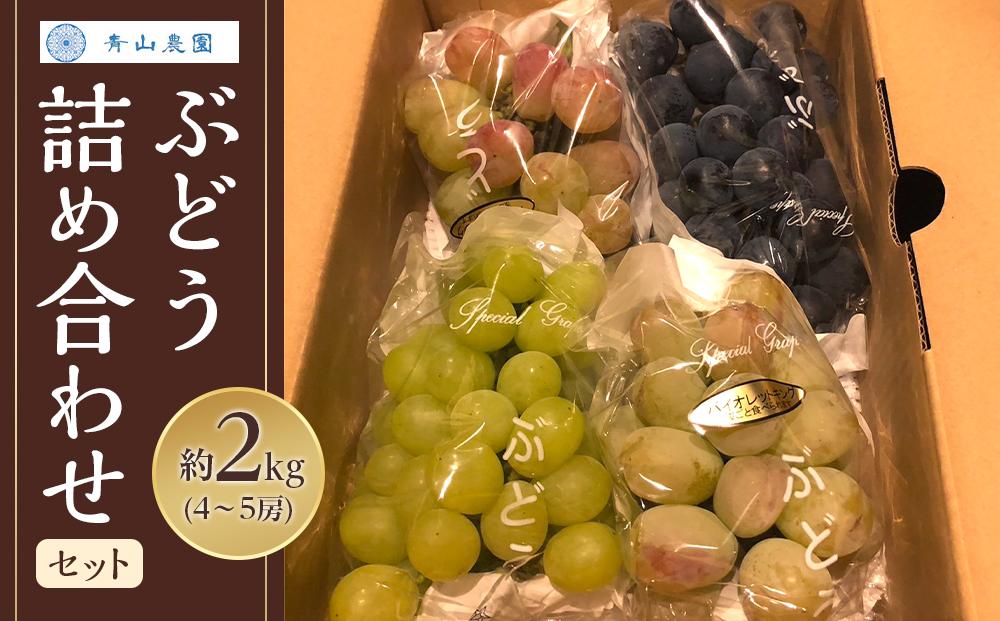 【先行予約】【数量限定】 ぶどう 詰め合わせセット 約2kg 〔2026年8月上旬より順次発送〕