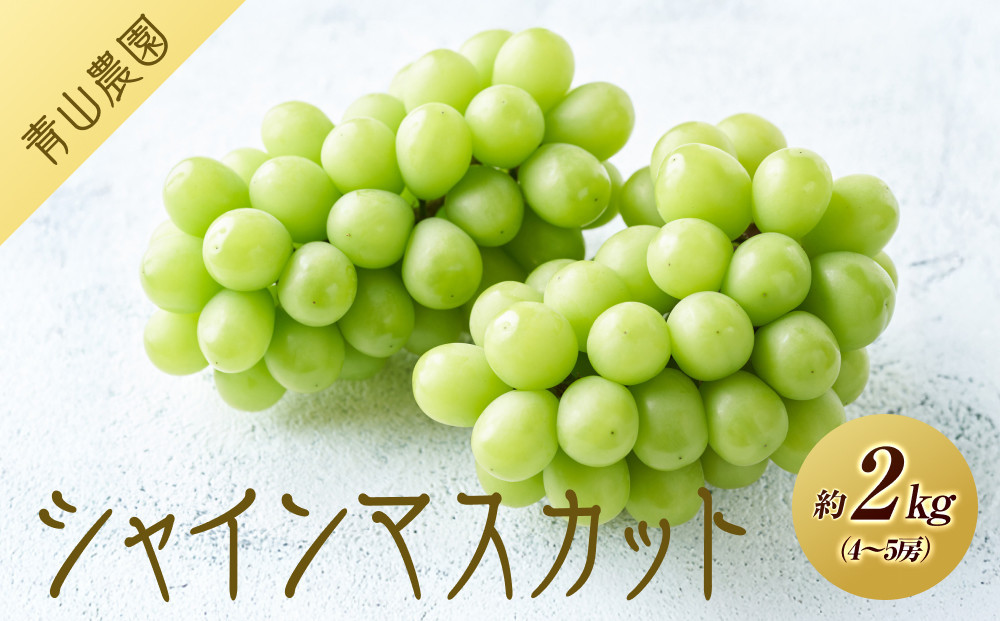 【先行予約】【数量限定】 シャインマスカット 約2kg 〔2026年8月上旬より順次発送〕