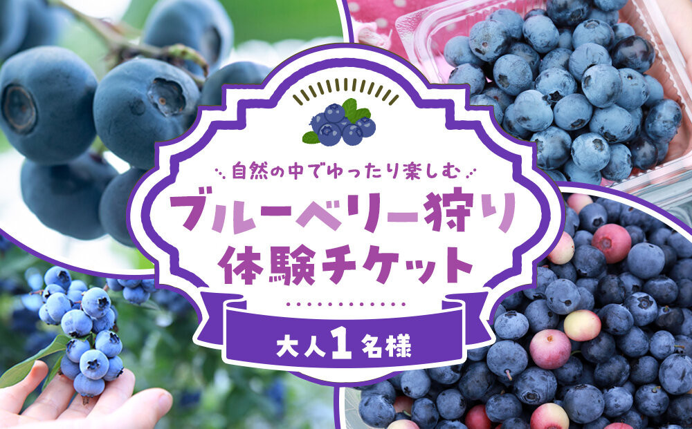 ブルーベリー狩り体験チケット　1名様分