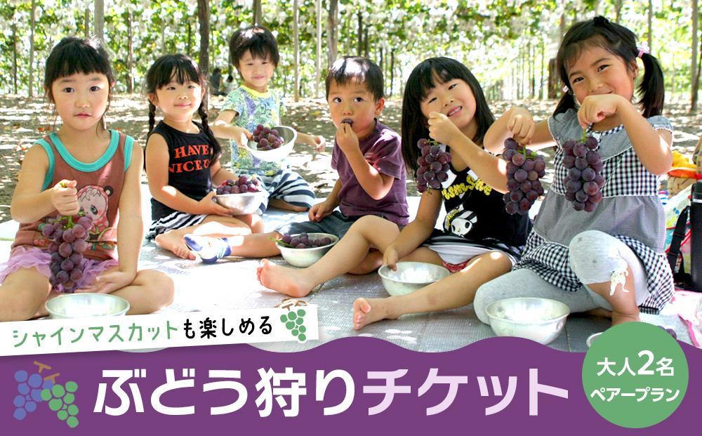 シャインマスカットも楽しめる ぶどう狩りチケット　ペアープラン 大人２名