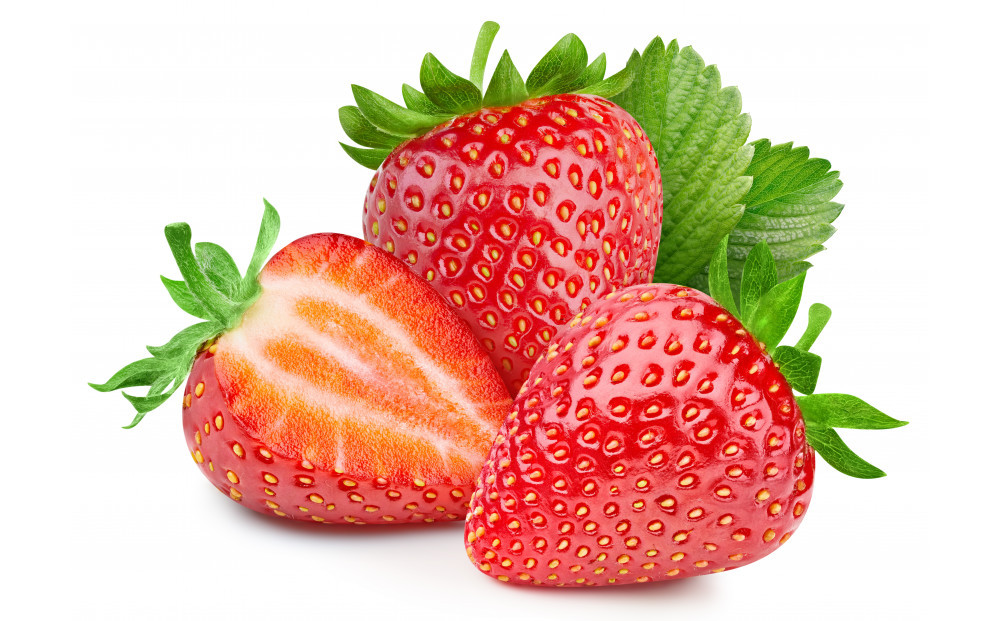 こだわり栽培　いちご　ゆめのか　【2025年12月～2026年4月末までお届け】