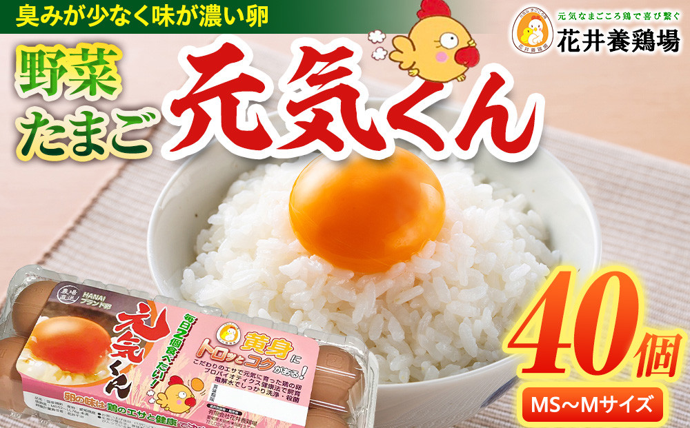 愛され続けて30年 「野菜たまご 元気くん」（40個） 日々のお料理がワンランクアップ!!