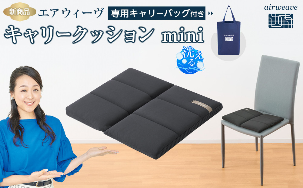 エアウィーヴ キャリークッションmini