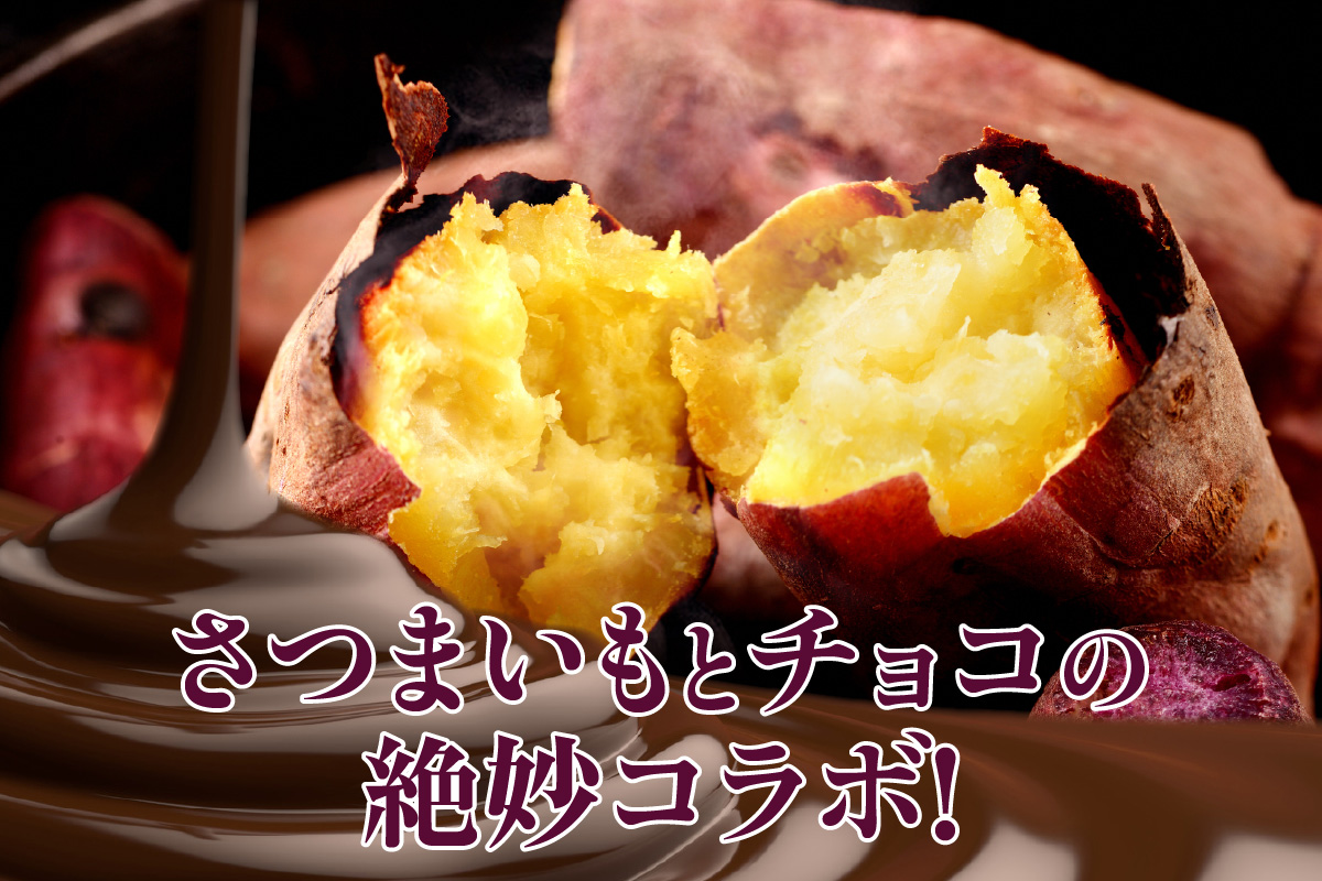 三河 芋昇謹製　いもまる２箱（1752）