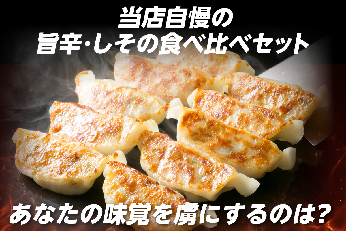 にこにこ餃子の名古屋餃子2種セット（120個入）（2344）