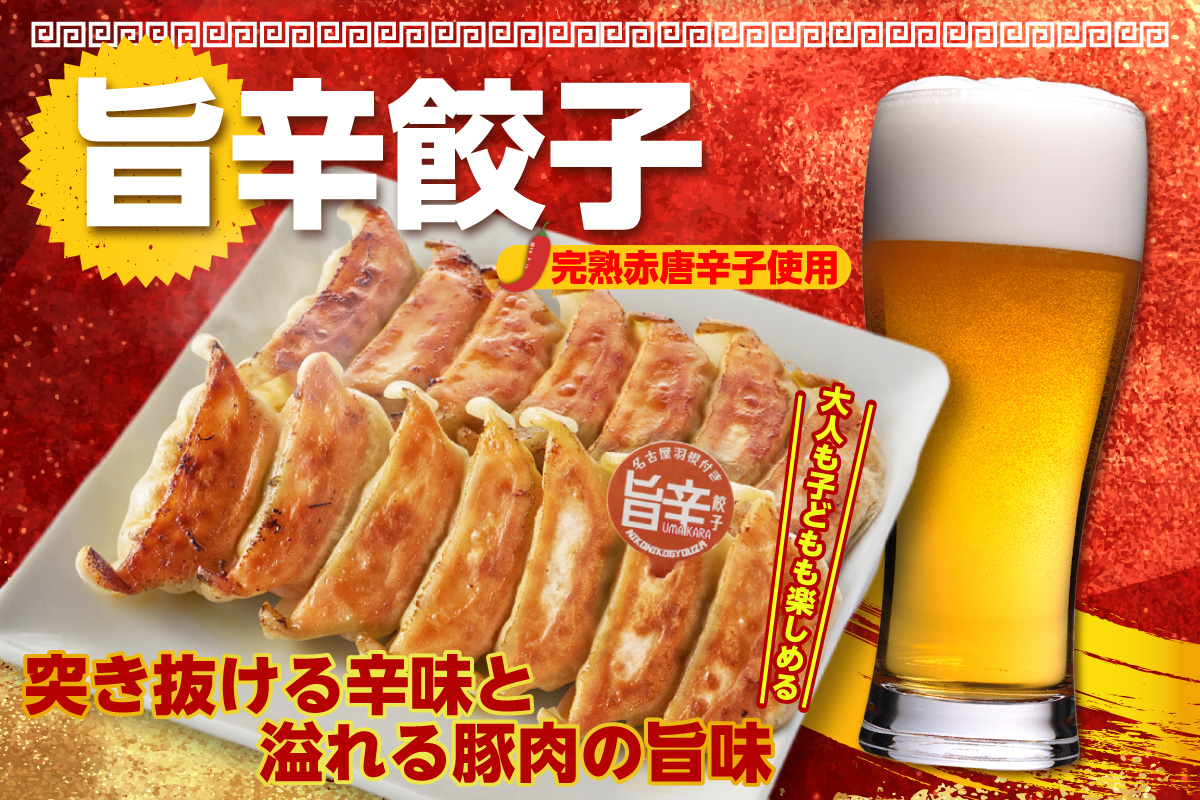 にこにこ餃子の名古屋餃子2種セット（120個入）（2344）