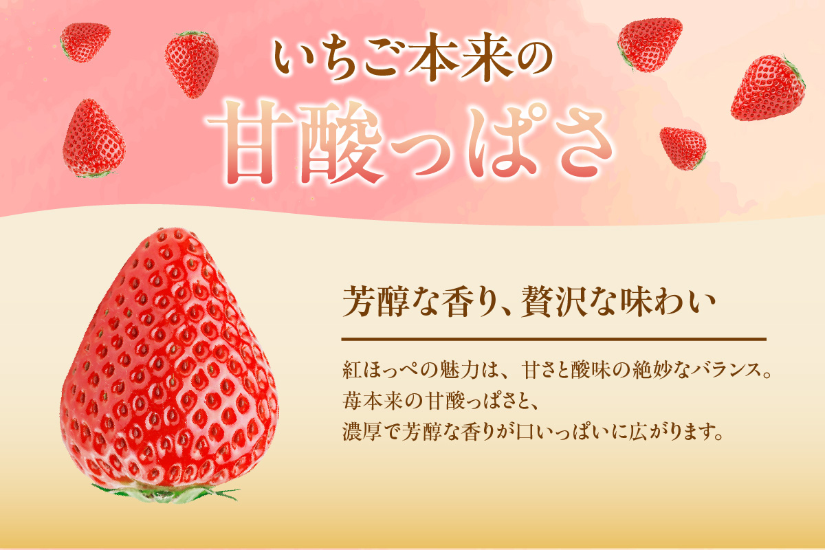 苺香の完熟いちご「紅ほっぺ」(1212)