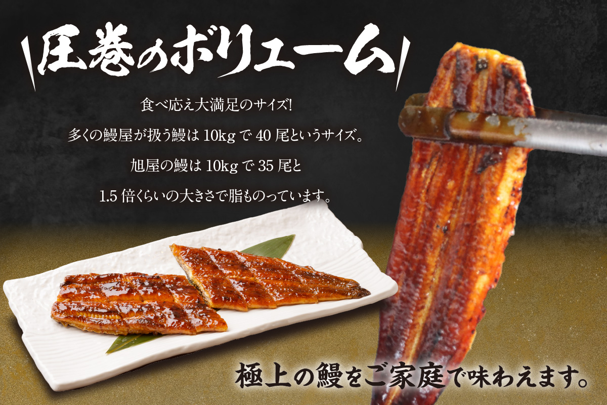 国産特大うなぎ長焼き６尾(約２００ｇ)　合計約１，２００ｇ（1666）