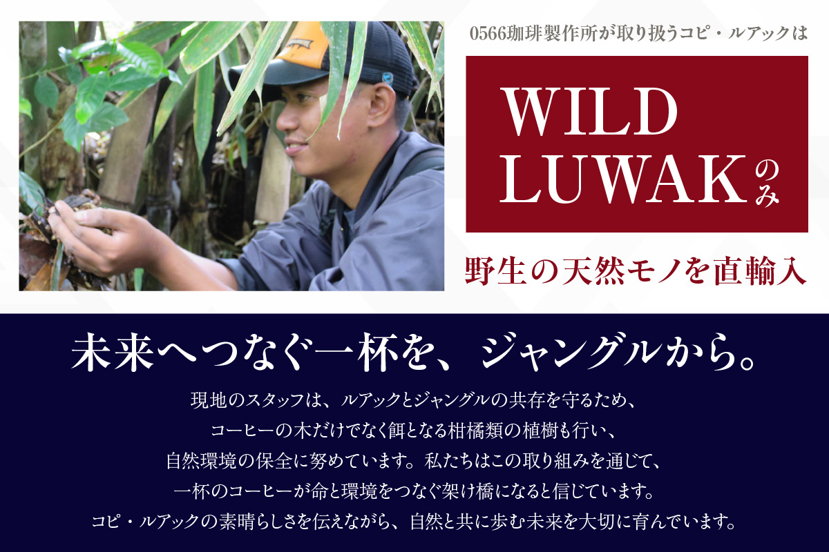 [№40-3241]幻のコーヒー　コピ・ルアック 100g【粉に挽く】
