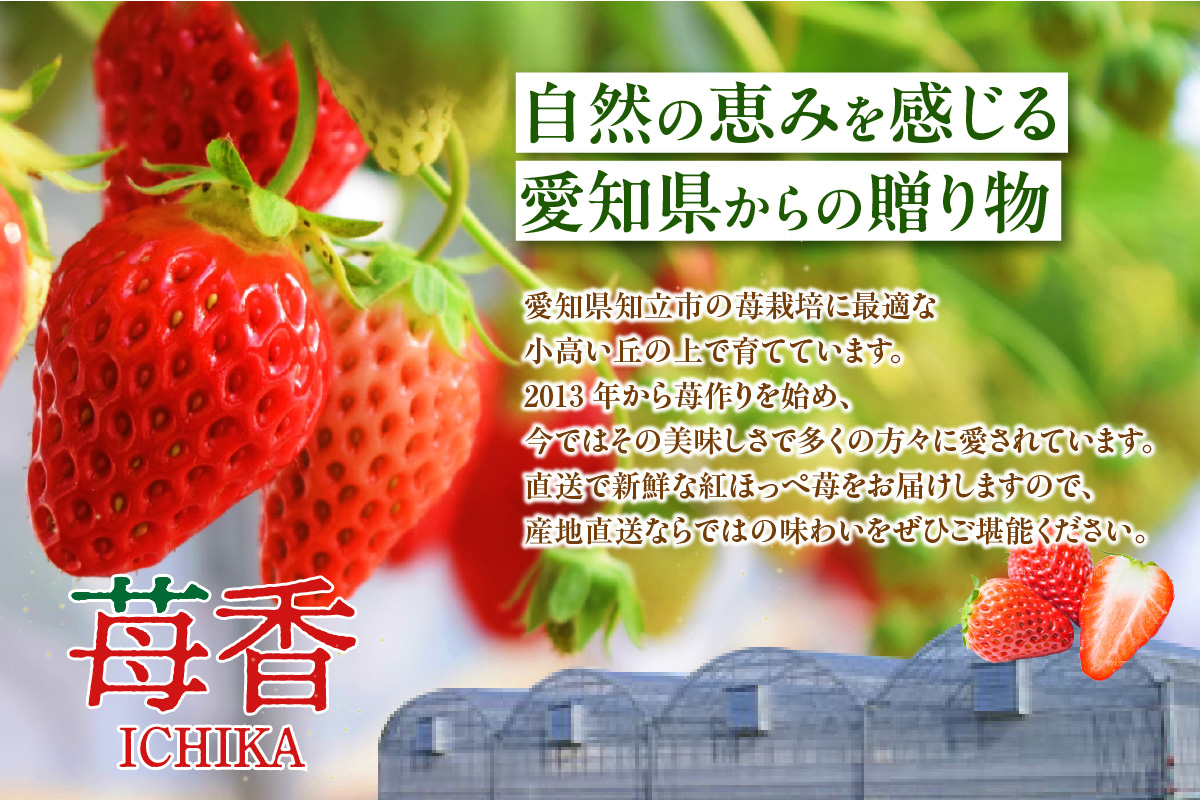 苺香の完熟いちご「紅ほっぺ」(1212)