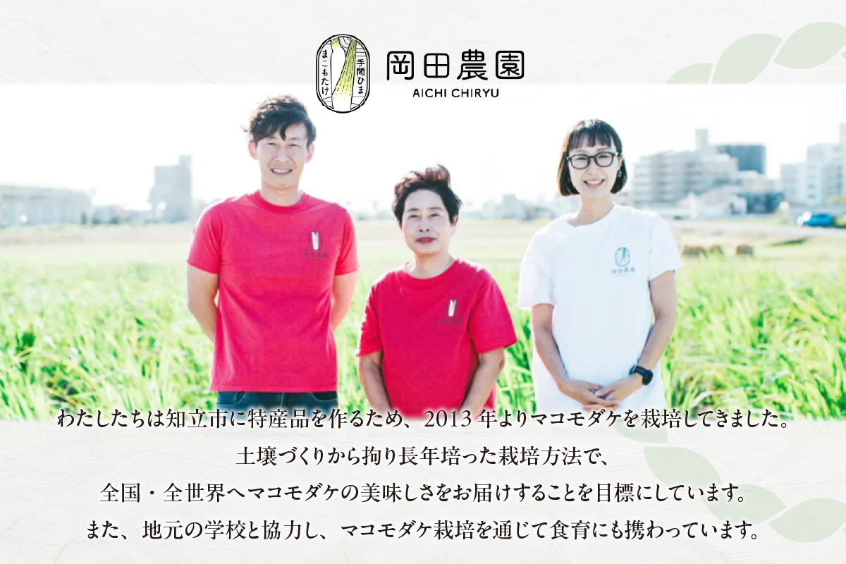 知立市特産　マコモタケ(1.3kg)　（7～10本）（2124）