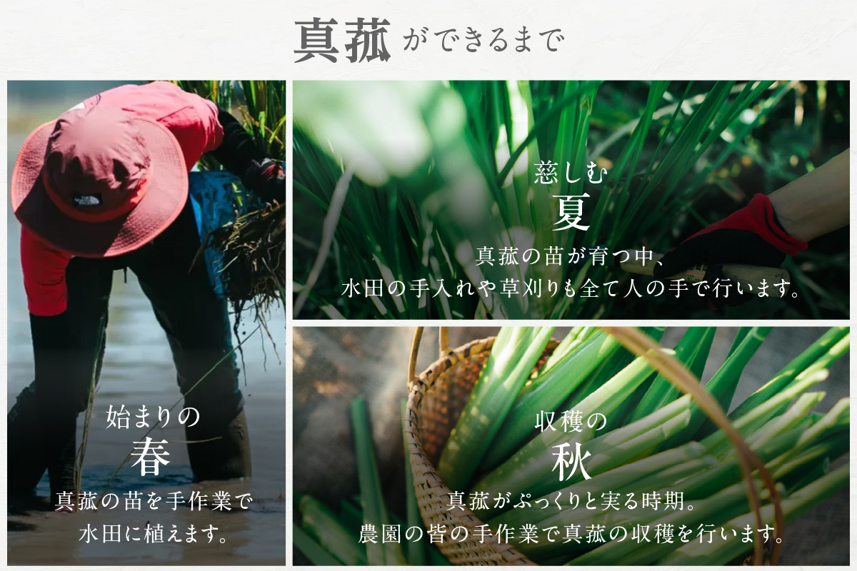 まこも茶（1696）