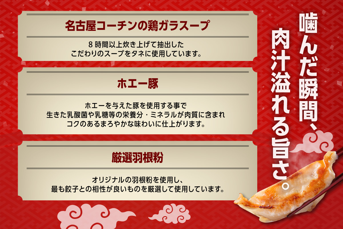 にこにこ餃子の名古屋餃子2種セット（80個入）（2343）