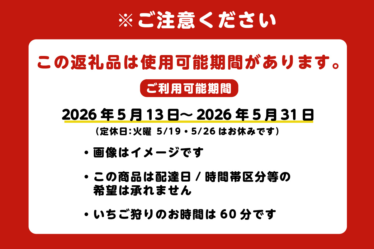 いちご狩り優待券（ペア）（3213）