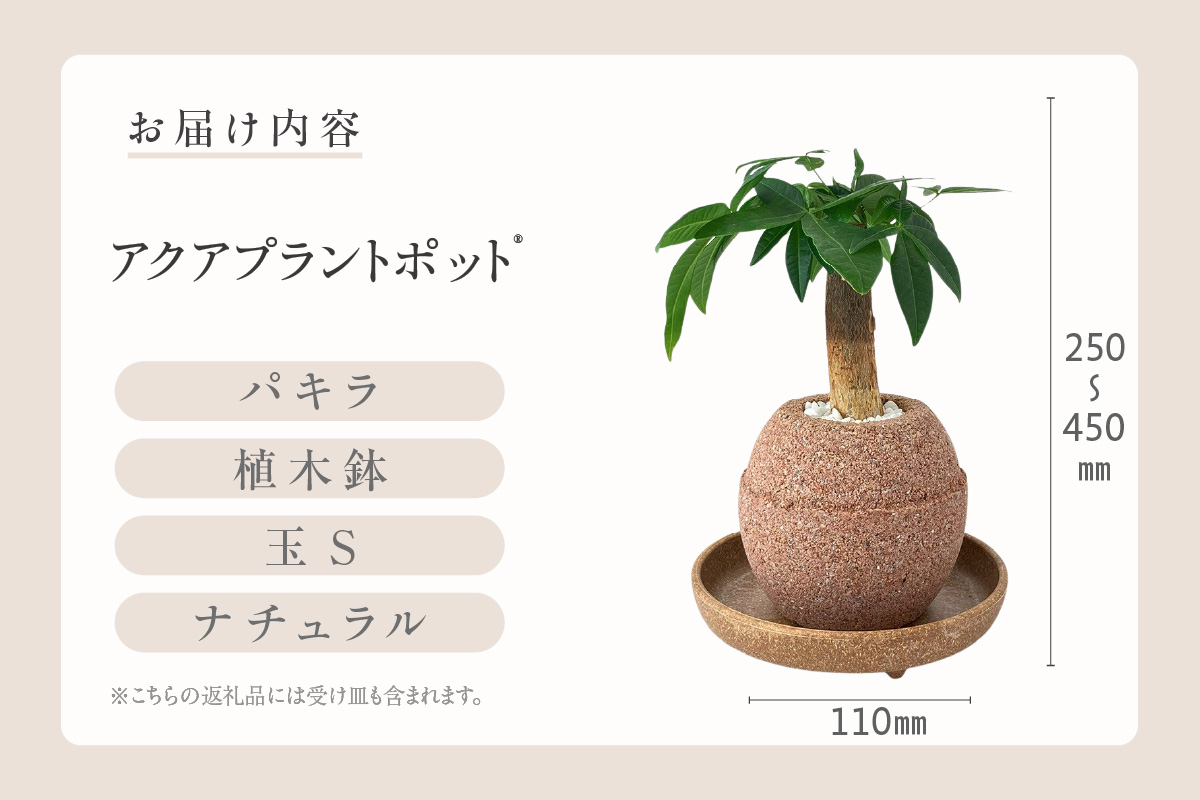 アクアプラントポット®　玉Ｓ 植木鉢パキラ（2127）