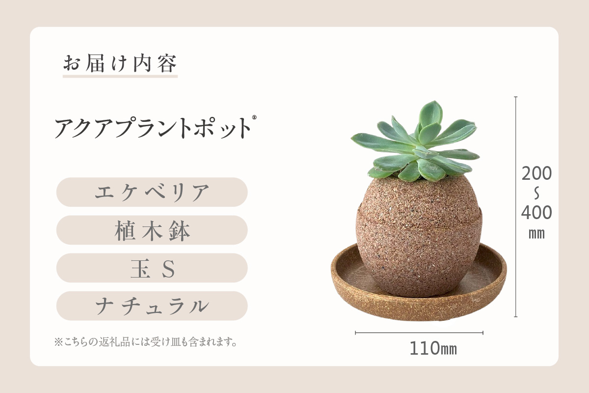 アクアプラントポット®　玉Ｓ 植木鉢エケベリア（2130）