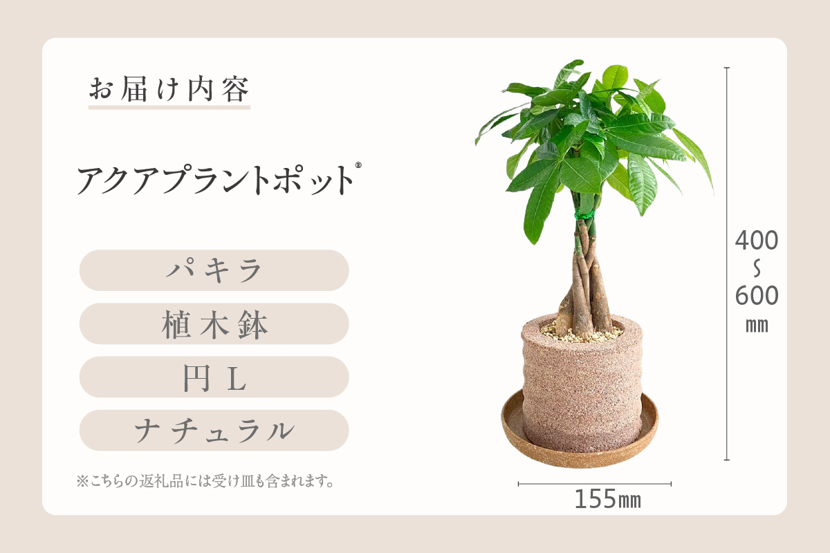 アクアプラントポット®　円Ｌ 植木鉢パキラ アクティカ（2136）