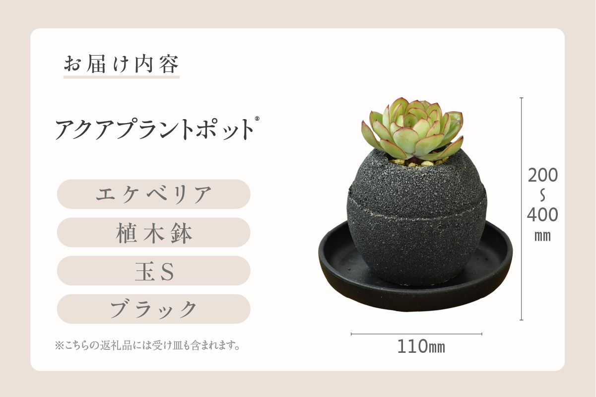 アクアプラントポット®　玉Ｓ（ブラック）  植木鉢　エケベリア（2082）