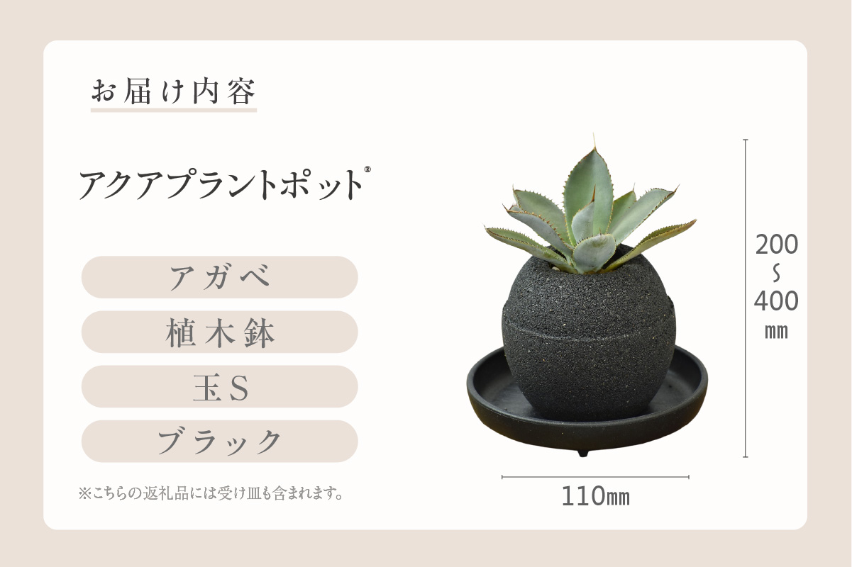 アクアプラントポット®　玉Ｓ（ブラック） 植木鉢　アガベ（2084）