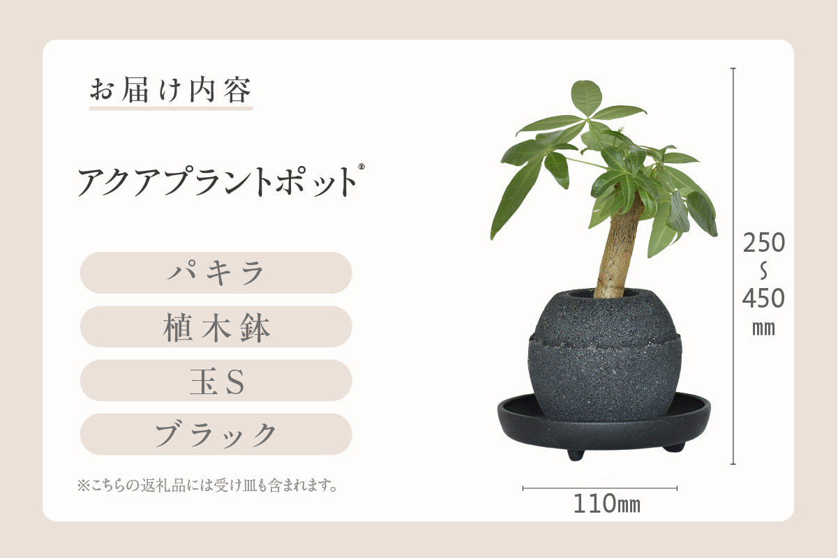 アクアプラントポット®　玉Ｓ（ブラック） 植木鉢　パキラ（2085）