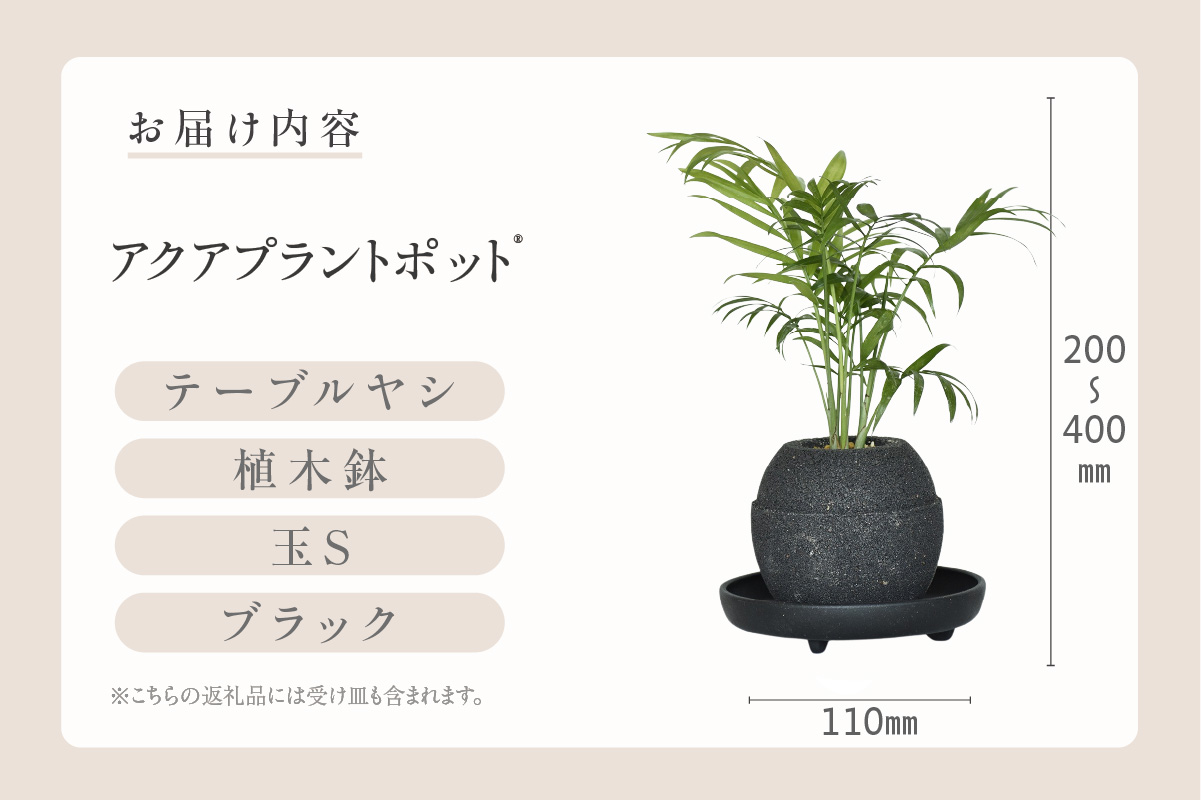 アクアプラントポット®　玉Ｓ（ブラック） 植木鉢　テーブルヤシ（2088）