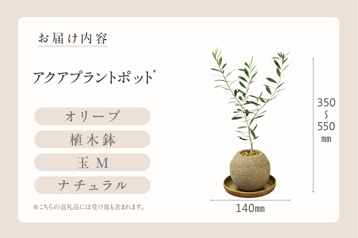 アクアプラントポット®　玉Ｍ 植木鉢　オリーブ（2096）